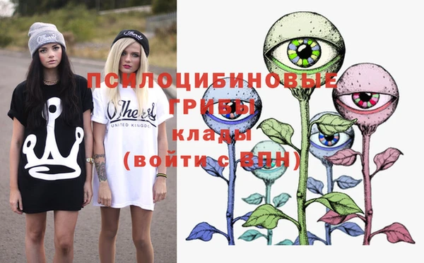 амф Белокуриха