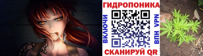 продажа наркотиков  Кораблино  Бошки Шишки марихуана 